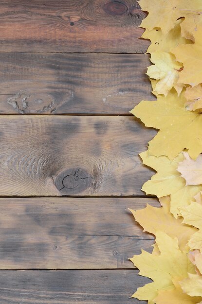 Composition of many yellowing fallen autumn leaves on a background surface