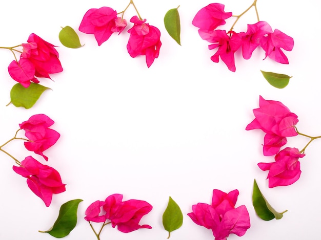 Composition of mockup frame with beautiful flowers