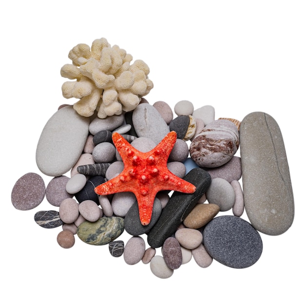 A composition of sea stones with coral and a starfish isolated on a white background.