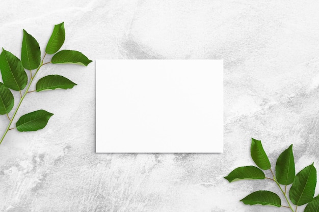 Composition of white watercolor sheet of paper and tree branches with green leaves at the edges on a concrete table. Advertising board, poster mockup for your design. Flat lay, top view, copy space