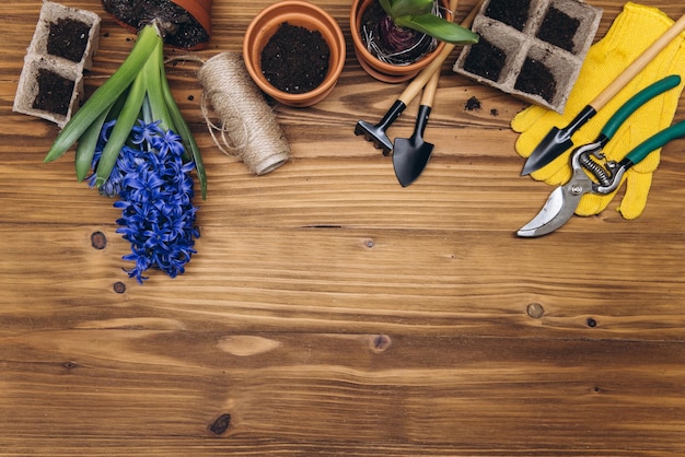 Composition with flowers and gardening tools with space for text on the wooden background