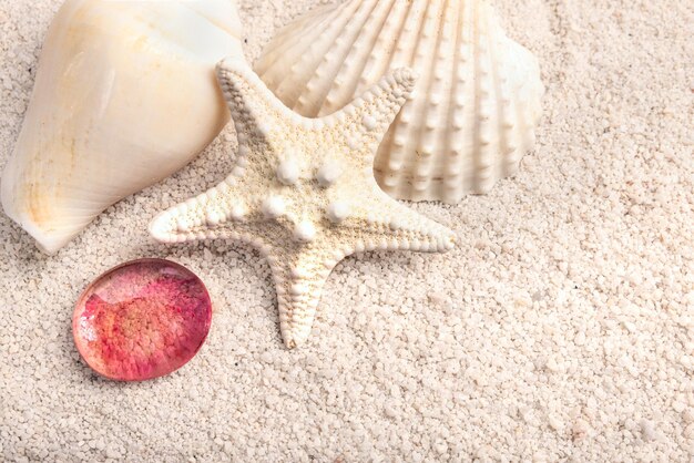 Photo composition with star fish red pebbles and shells on the sand