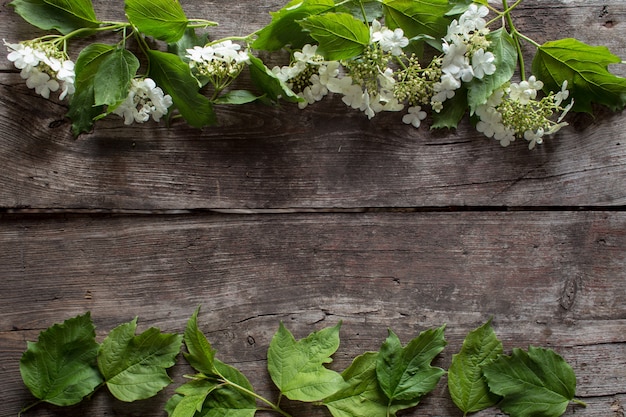 Composition with white flowers frame