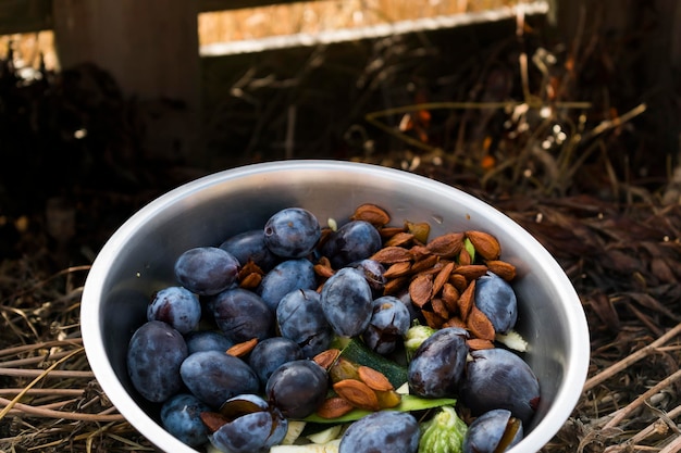 Composting kitchen waste recycling in composter sorting and bio fertilizer