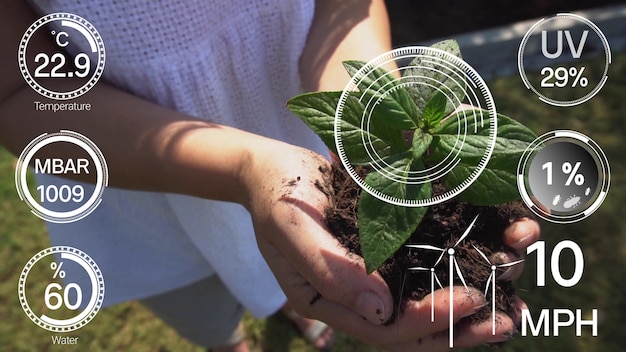 Computer aided plantation grow concept.