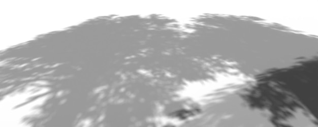 a computer generated image of a tree with the sun shining through it