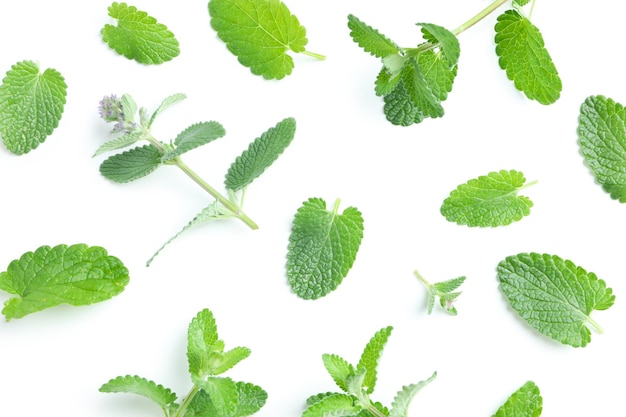 Concept of aromatherapy mint isolated on white background