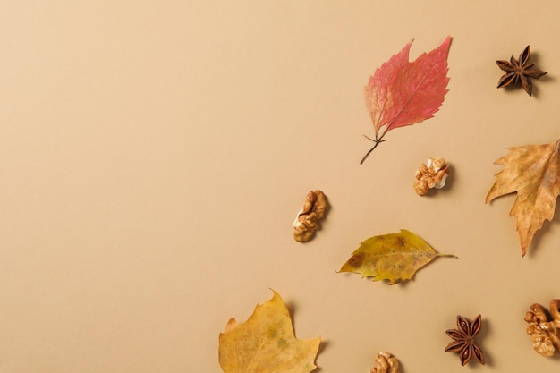 Concept of Autumn Autumn composition accessories on beige background