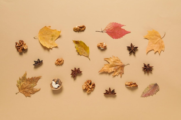 Concept of Autumn Autumn composition accessories on beige background