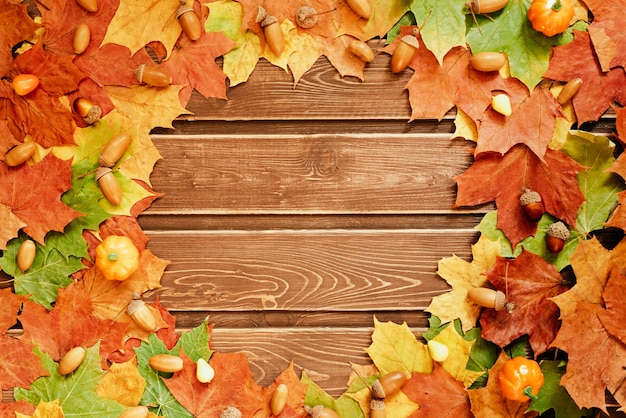 The concept of autumn wallpaper. Dried maple leaves and acorns lined with a round frame with a copy space for your text