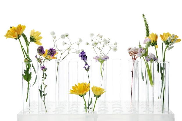 Concept of biology research test tubes and flowers isolated on white background