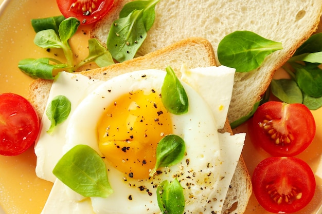 Concept of breakfast with tasty homemade sandwich