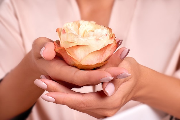 Concept of delicate skin of woman hands manicure hand care closeup bud of blossoming rose