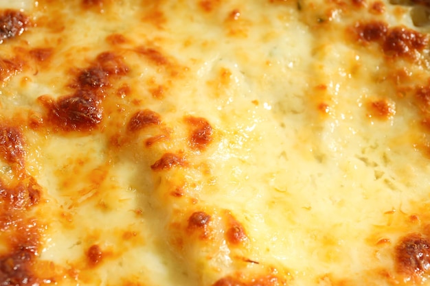 Concept of delicious Italian cuisine food Lasagna closeup