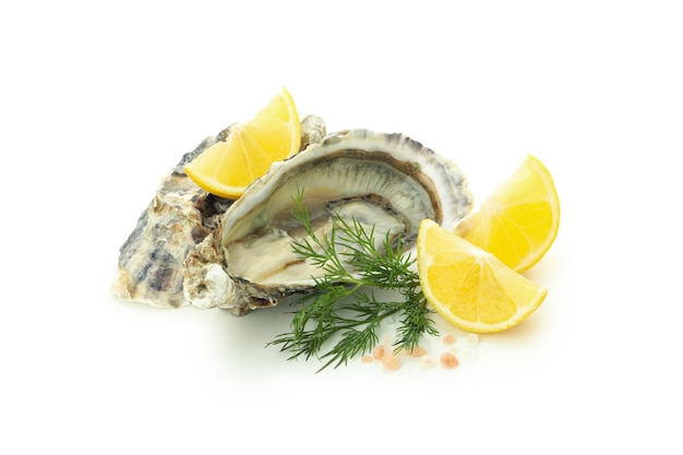 Concept of delicious seafood oyster isolated on white background