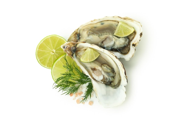 Concept of delicious seafood oysters isolated on white background