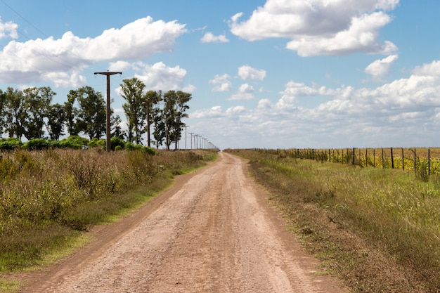 Concept of distance with field road in the plain