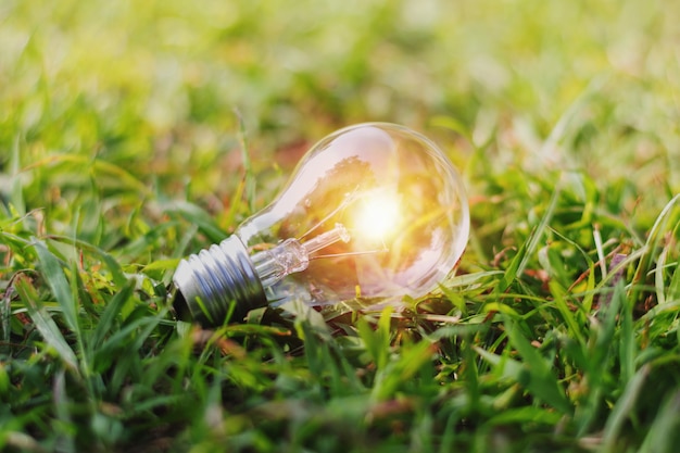 Concept eco light bulb on green grass with sunshine