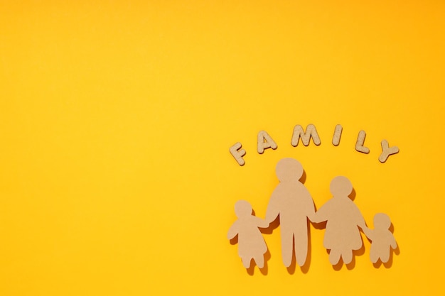 Concept of family protection of family family rights family health