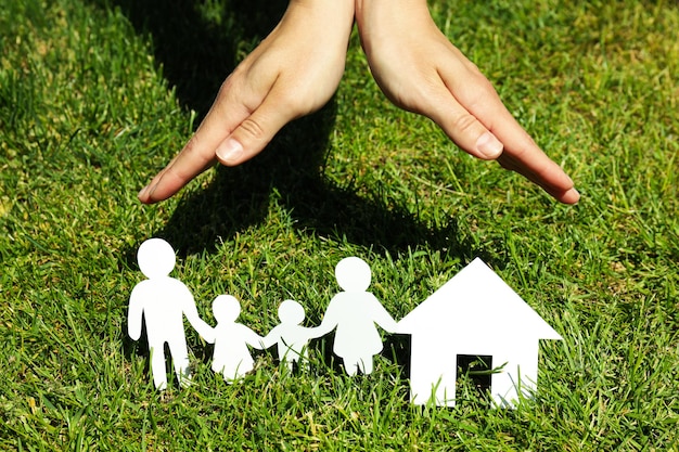 Concept of family protection of family family rights family health