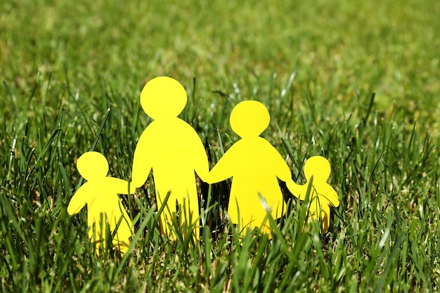 Concept of family and protection family family rights