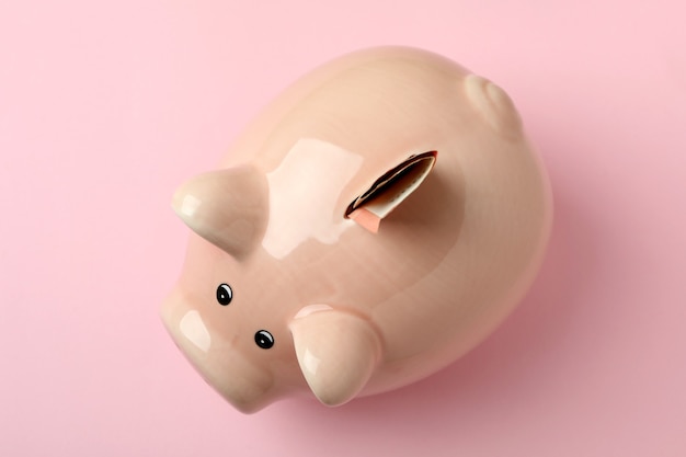 Concept of finance and economy with piggy bank