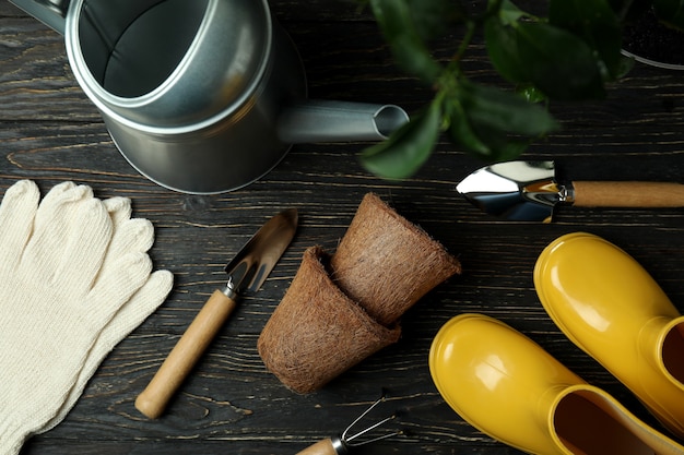 Photo concept of gardening on rustic wooden