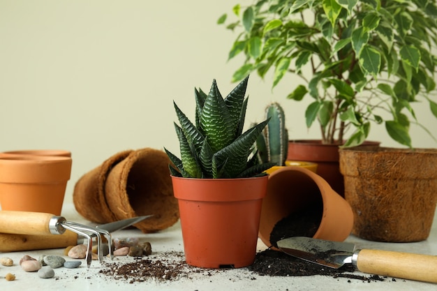 Concept of gardening on white textured table