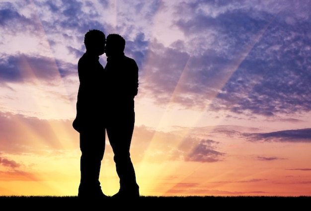 Concept of gay people. Silhouette happy gay kissing against the evening sky