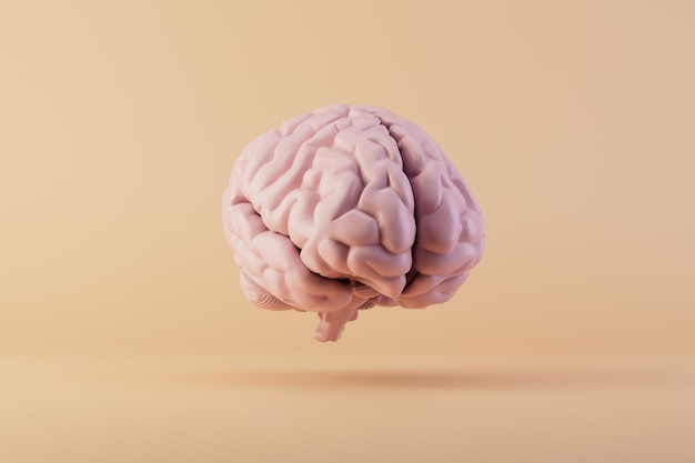 The concept of idea generation brain on a pastel background 3D render