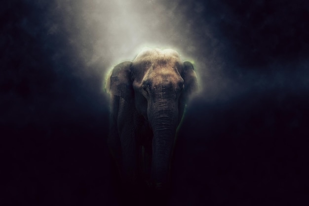 Concept Image manipulation of wild elephants