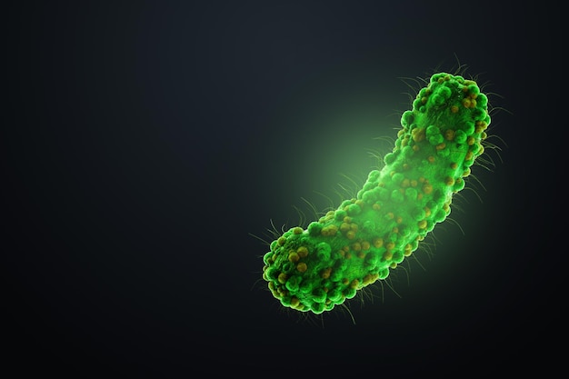 Concept infectious agents bacteria bacilli E coli part of the gut microbiome Magnified image from under the microscope 3D rendering 3D illustration