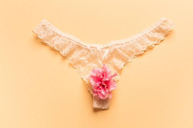 The concept of the reproductive organs of a woman the vagina in the form of panties