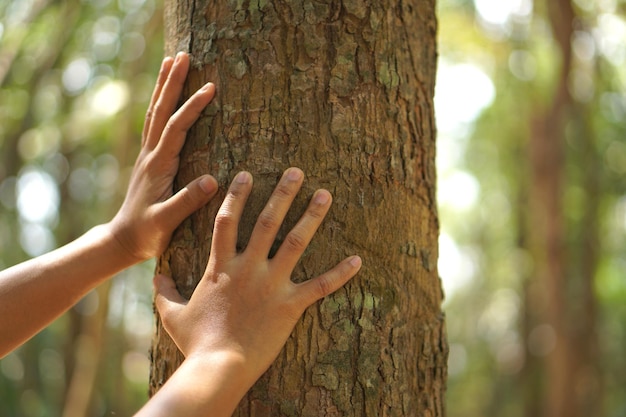 Concept of saving the world Asian woman touching a tree