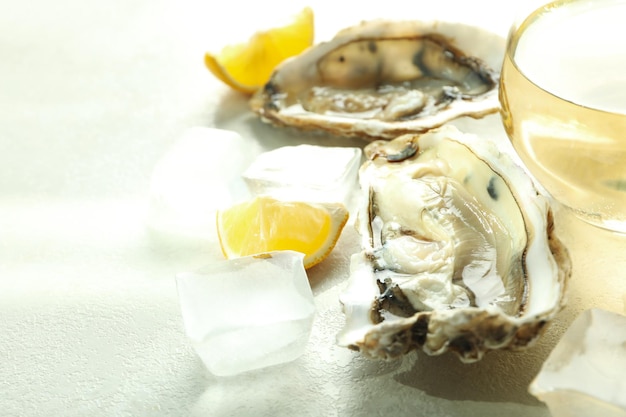 Concept of seafood oysters space for text