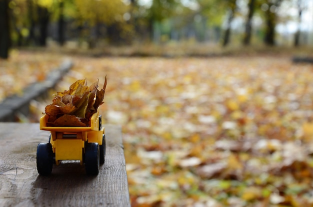 The concept of seasonal harvesting of autumn fallen leaves