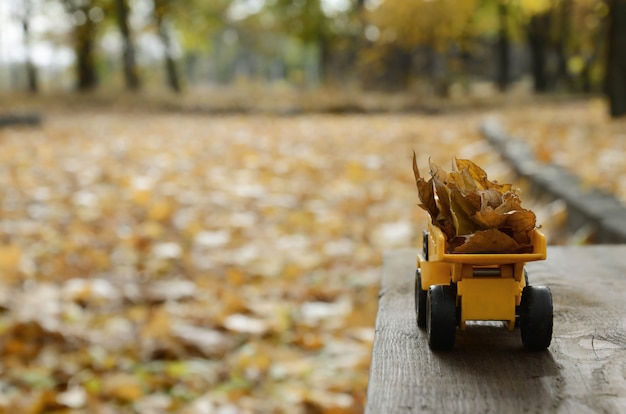 The concept of seasonal harvesting of autumn fallen leaves 