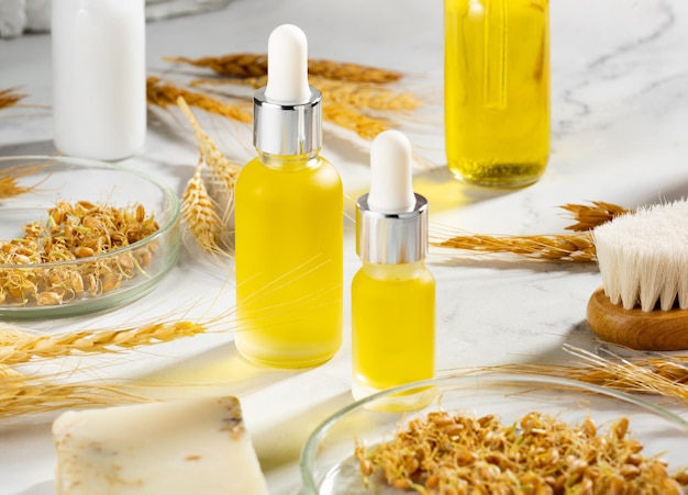 A conceptual composition of wheat essential oils a bath brush and wheat sprouts on a marble table Wheat serum oil for skin and hair care Bottle of body oil with a dropper Selfcare and wellness