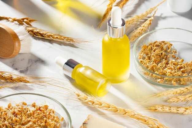 Conceptual composition of wheat essential oils and wheat sprouts on a marble table Oil with serum for skin and hair care Bottles of body oil with a dropper Selfcare wellness organic treatment