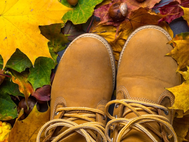 Conceptual image of beige boots on the autumn colorful leaves Feet modern shoes