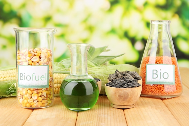 Conceptual photo of bio fuel On bright background