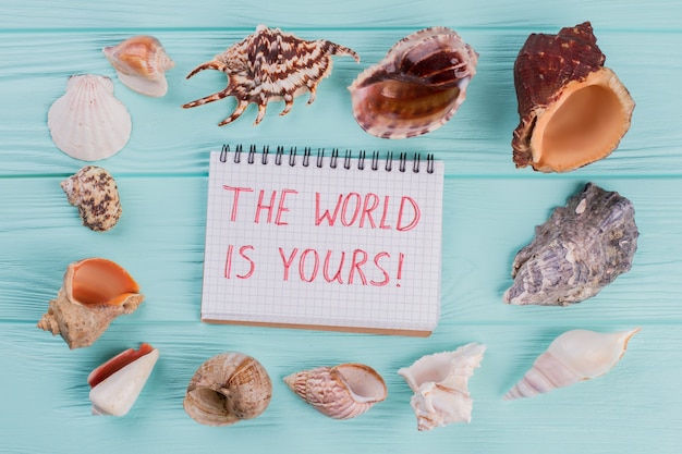 Conch shells and notepad on a light turquoise background