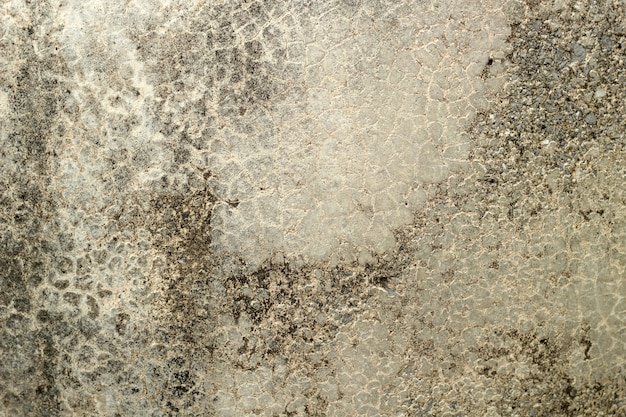 Concrete Texture Background