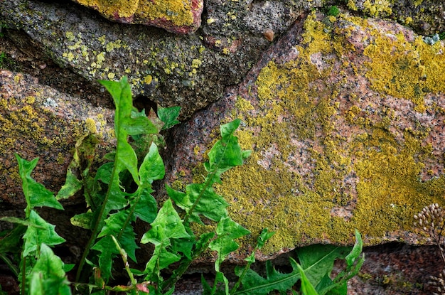 concrete texture and landscape of the city