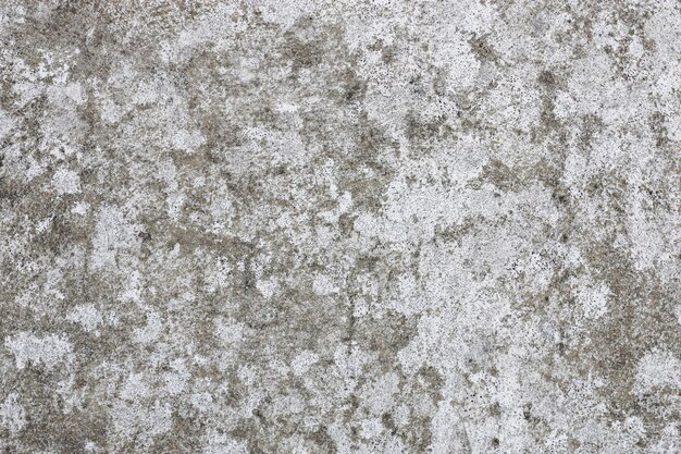 Concrete texture surface wall