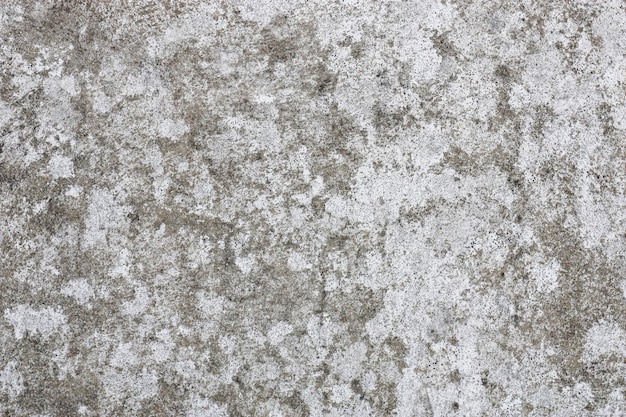 Concrete texture surface wall