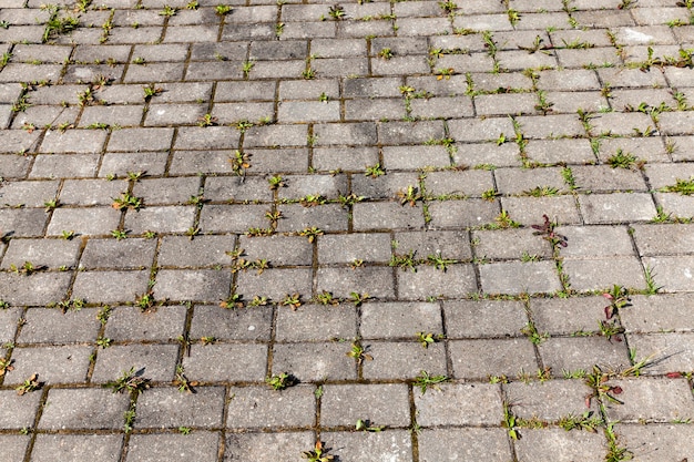 Concrete tiles on the road with grass