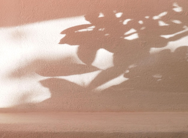 Concrete wall product backdrop with leaves shadow