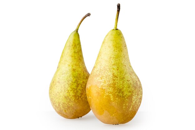 conference pears