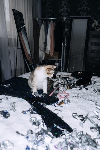 Confetti fun cute cat playing with disco ball glitter confetti on home party decorations background